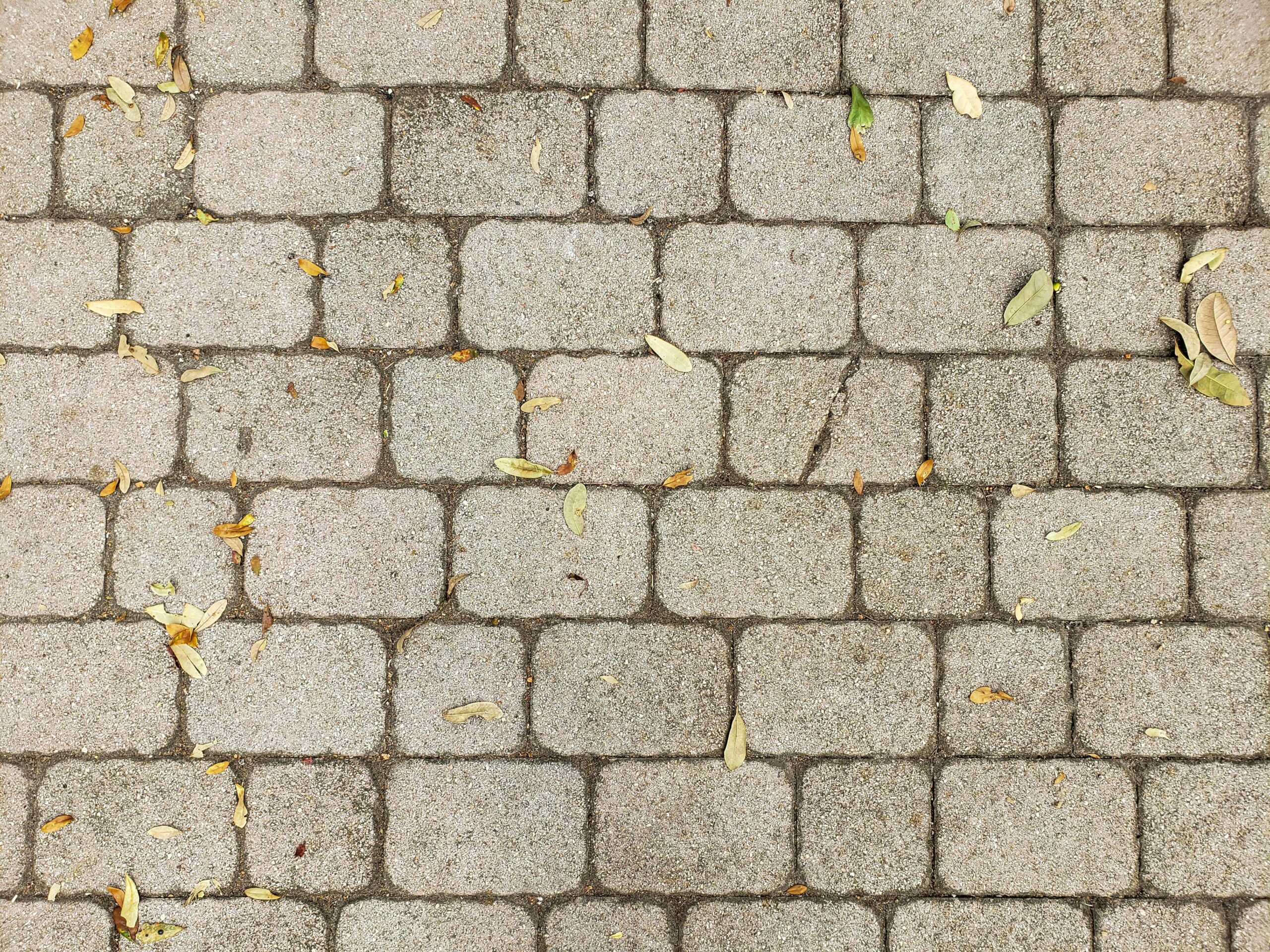 Close-up of a textured stone walkway with fallen leaves in Brandon, FL.